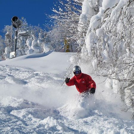 Mountain Lodge Snowshoe Extérieur photo