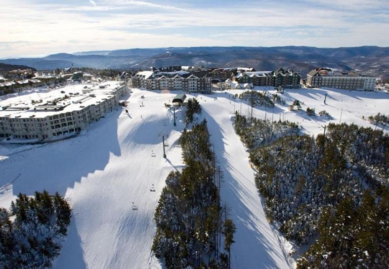 Mountain Lodge Snowshoe Extérieur photo