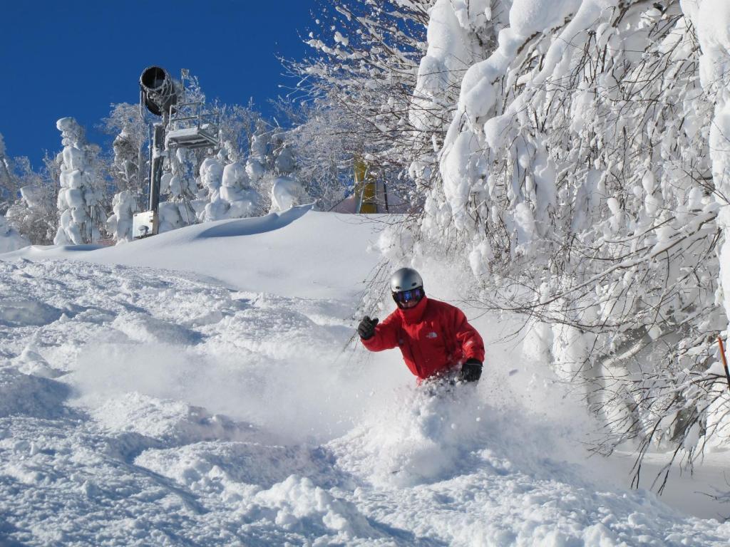 Mountain Lodge Snowshoe Extérieur photo